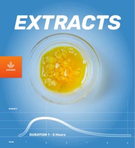 CBD Gummies In Morristown, NJ