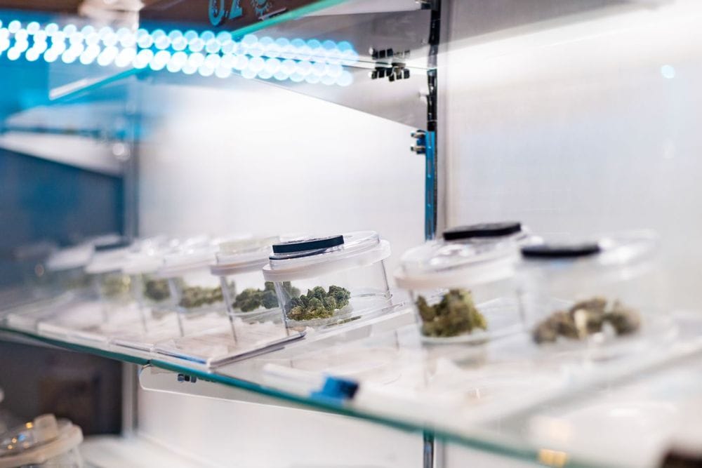 Morenci Marijuana Provisions Ascend Cannabis