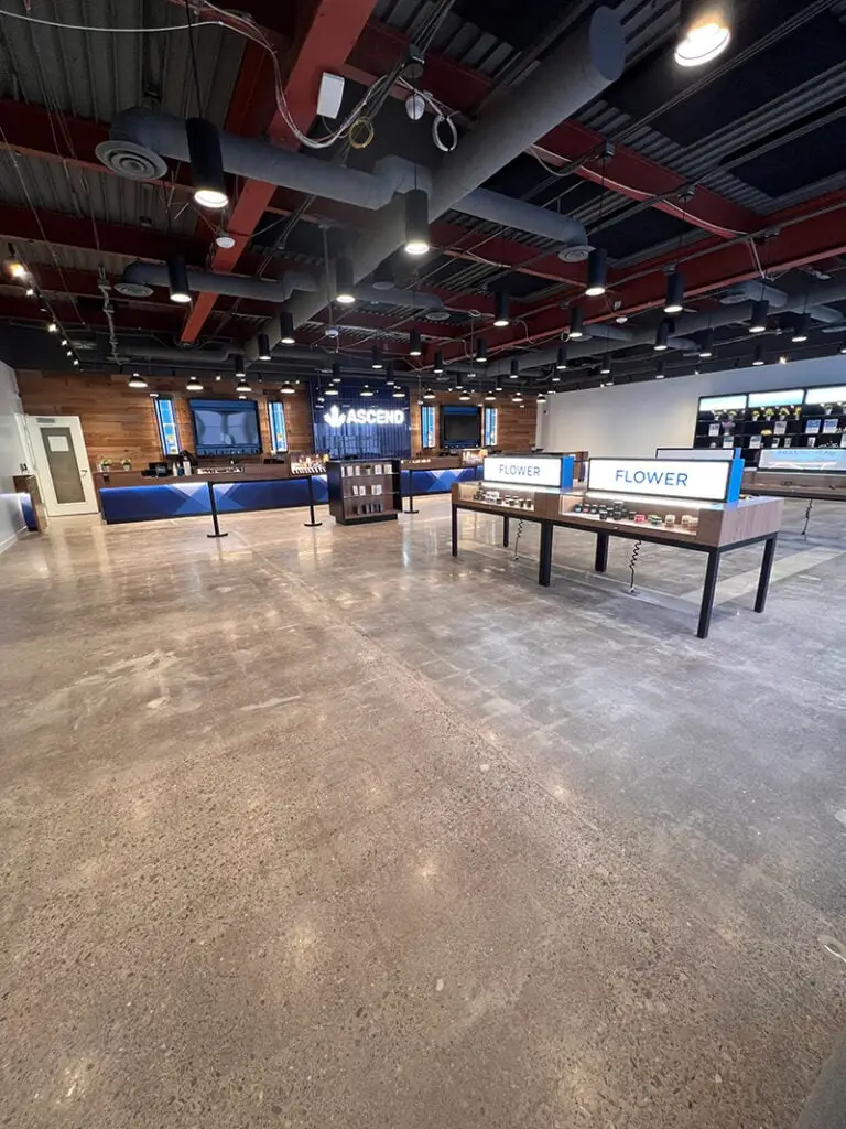 8lYUNdM9QBIYPeaOp9aQ_IMG_2508