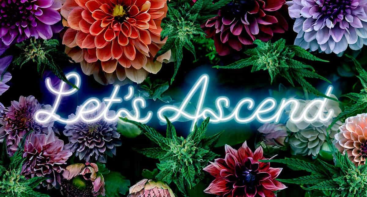 Ascend Cannabis Recreational & Medical Marijuana Dispensaries