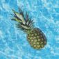 pineapple in water