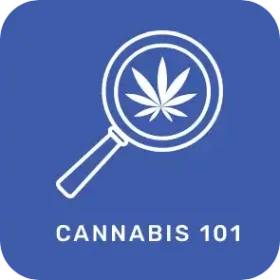 sc_cannabi101